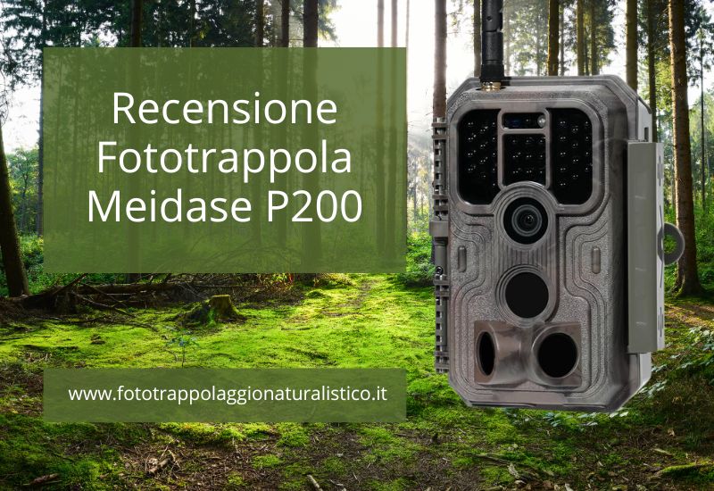 Recensione Fototrappola Meidase P200